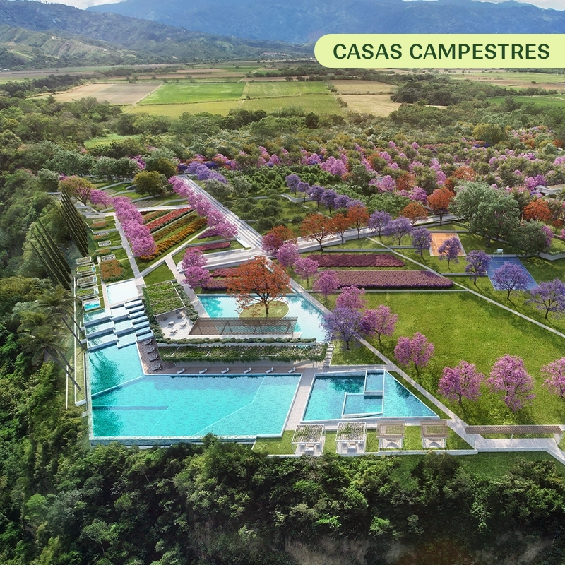 CONGOLINOS-PROYECTO